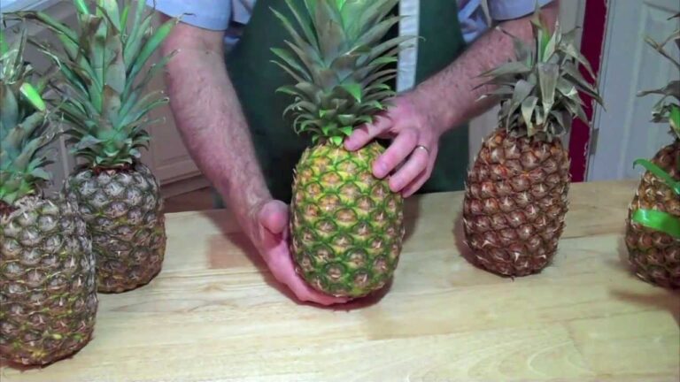How to Tell if a Pineapple is Bad? – IDPHub