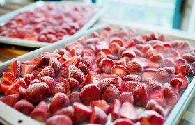 Can you freeze fresh strawberries?