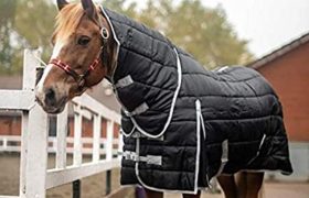 Horse Rug Guide: Parts Of A Turnout Rug