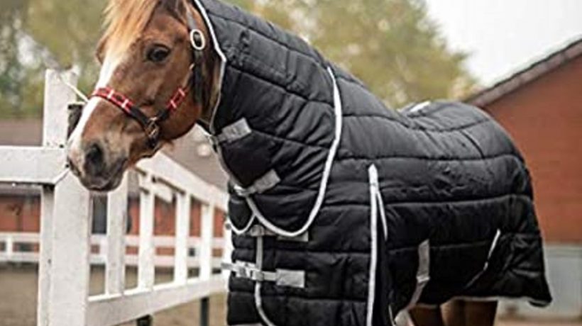 Horse Rug Guide: Parts Of A Turnout Rug