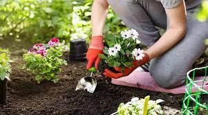 6 Secret Health Benefits of Home Gardening