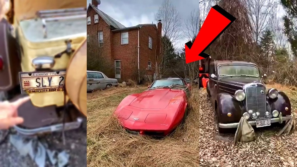 Sylvester Stallone's Abandoned Cars