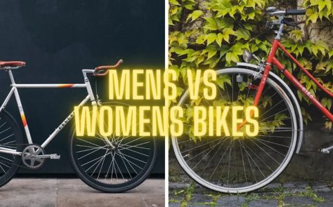 Difference Between Male And Female Bikes