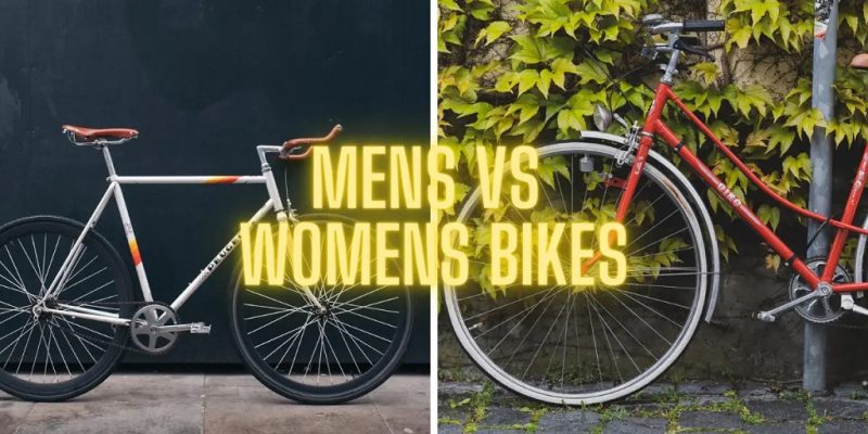 Difference Between Male And Female Bikes