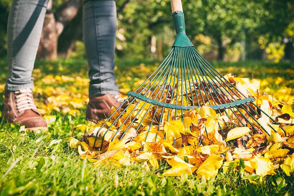 What's the best rake for raking leaves?