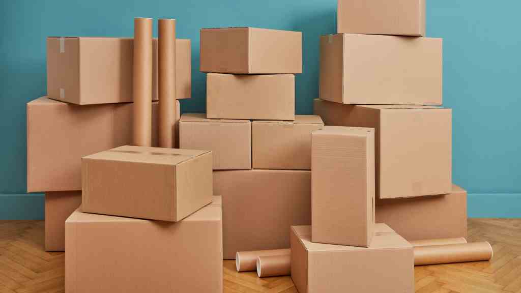 Cardboard: The Unsung Hero of Everyday Life