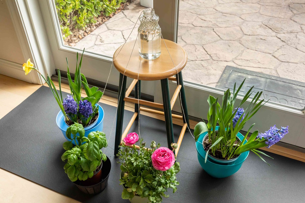 How can I automatically water my plants while on vacation?