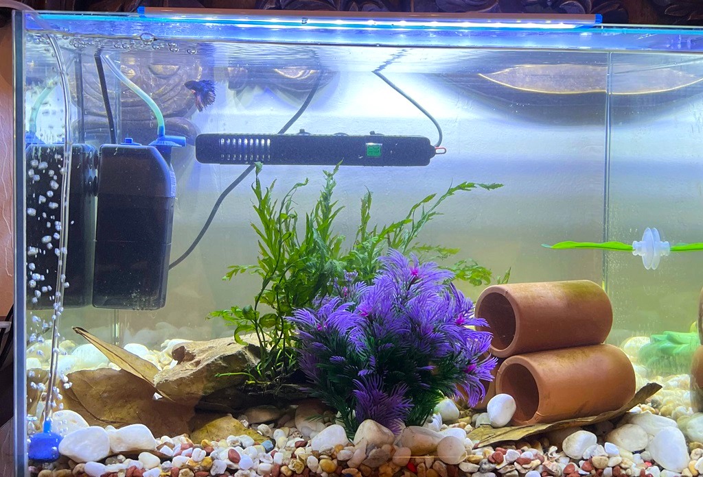 Can I change gravel to sand in a fish tank?