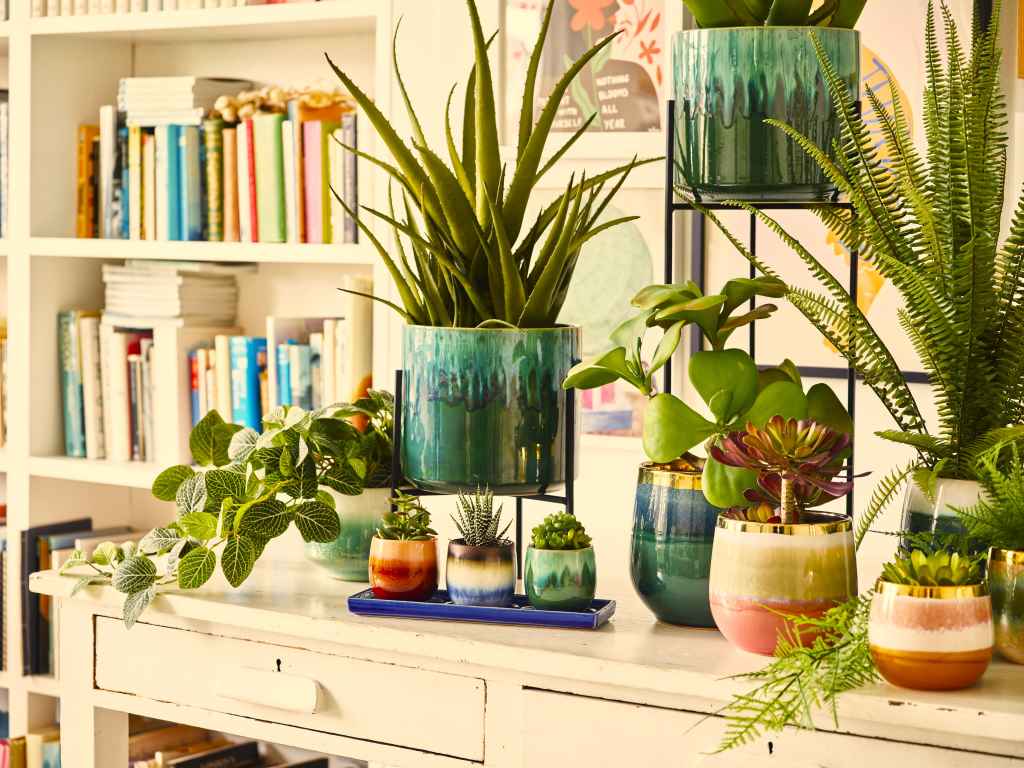 What kind of pots are best for indoor plants