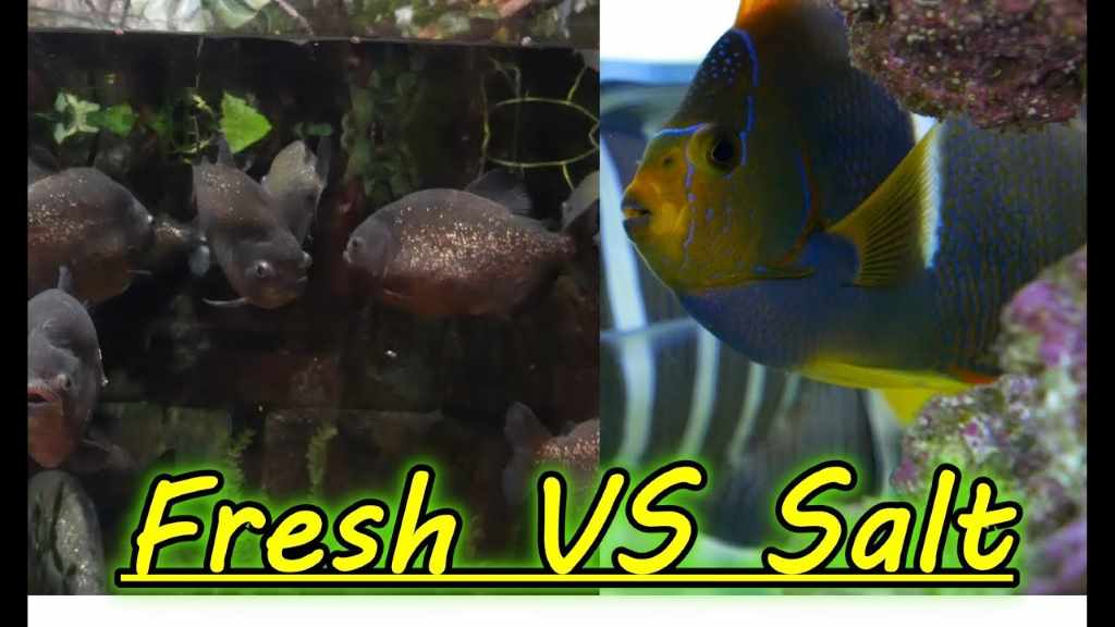 How will you differentiate between freshwater habitat and salt water habitat