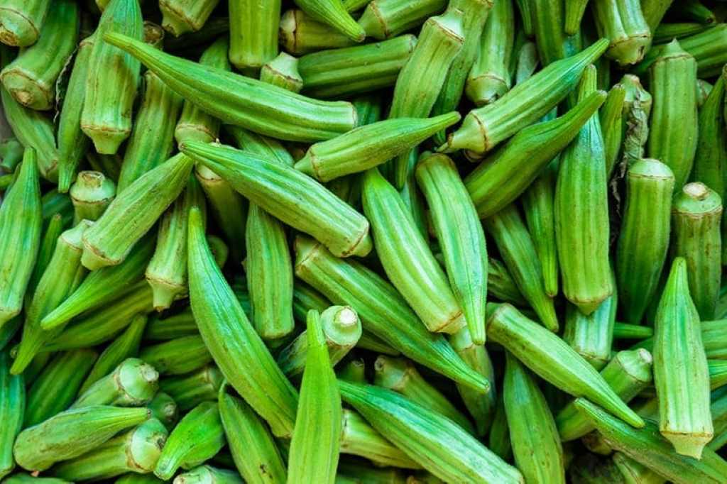 How to store okra for a long time