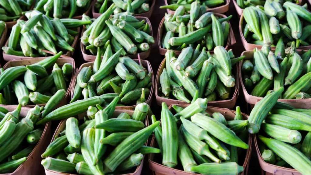 How to preserve okra by drying