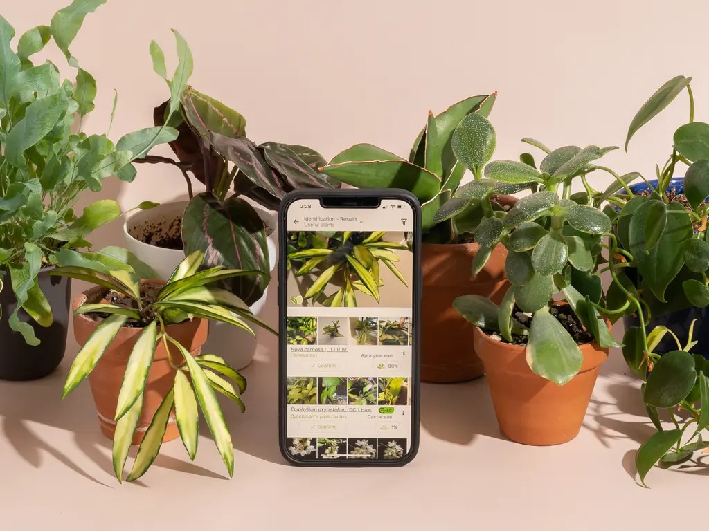 What is the best app for identifying edible plants?