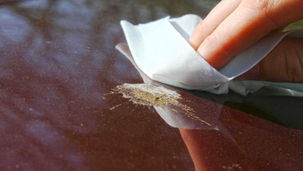 How to remove bird poop from car without damaging paint