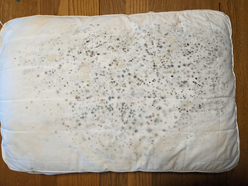 Can sleeping on a moldy pillow make you sick