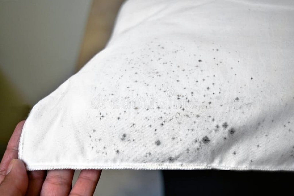 How often should I replace my pillow to prevent mold