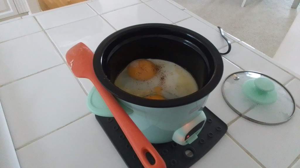 Dash Mini Rice Cooker steaming vegetables in a small apartment kitchen.